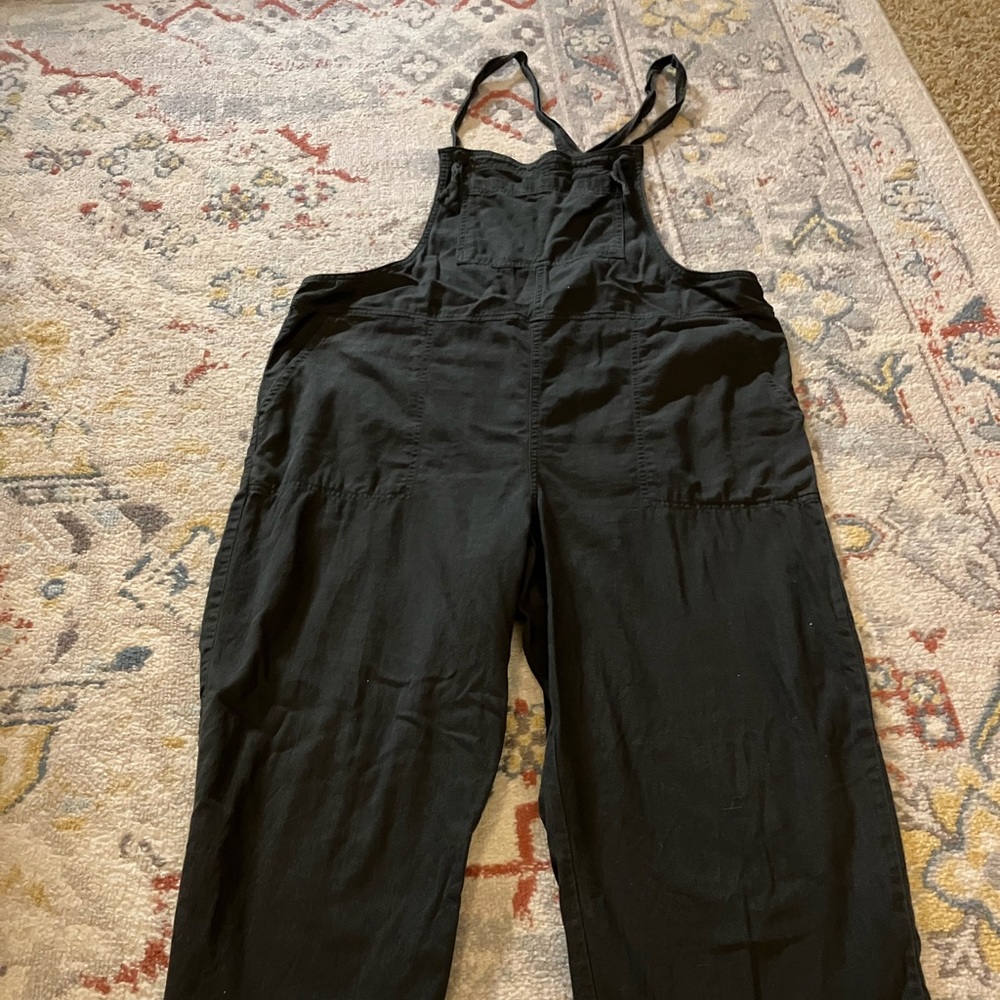Aerie overalls